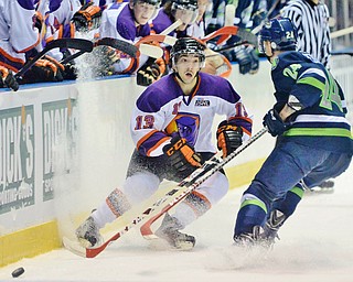 Jeff Lange | The Vindicator  Youngstown's Bryan Lemos (13) looks into the eyes of Thunder's Vince Pedrie (24) as he handles the puck along the boards, Wednesday morning during second period action in Youngstown.