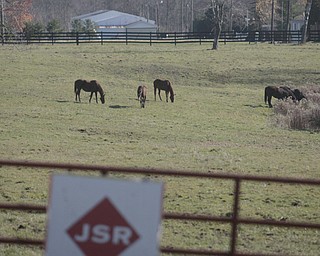        ROBERT K. YOSAY  | THE VINDICATOR..Jake and Shelly Radoseviches..moved their stable of horses from Grove City to Chardon to be closer to the racetracks up here. They will be involved heavily in Hollywood.