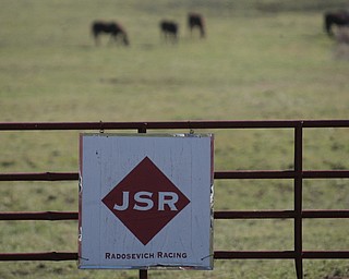        ROBERT K. YOSAY  | THE VINDICATOR..Jake and Shelly Radoseviches..moved their stable of horses from Grove City to Chardon to be closer to the racetracks up here. They will be involved heavily in Hollywood.
