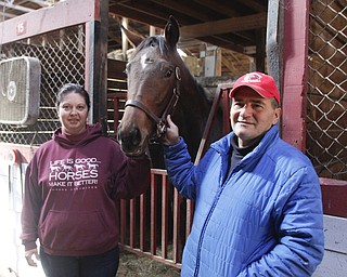        ROBERT K. YOSAY  | THE VINDICATOR..Jake and Shelly WIth ZAMOO...  an Ohio Bred Thoroghbred..Jake and Shelly Radoseviches..moved their stable of horses from Grove City to Chardon to be closer to the racetracks up here. They will be involved heavily in Hollywood.