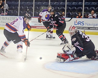 Josh Melnick (8) scores the first goal for the Phantoms against Steel goalie Cale Morris in the second period of Sunday’s game at the Covelli Centre. The Phantoms fell 5-2.