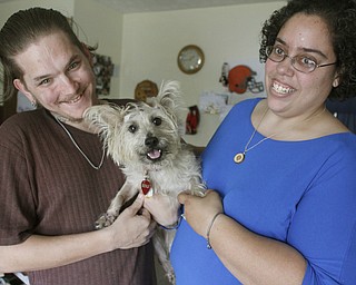        ROBERT K. YOSAY  | THE VINDICATOR..BENJI is saved as the  Lisa and Corey Mercer hold him after the surgery.... etc..-30-.