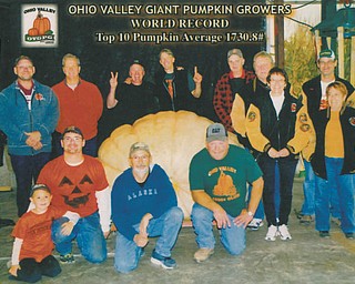 SPECIAL TO THE VINDICATOR Ohio Valley Giant Pumpkin Growers, above, grew the world record top 10 average pumpkins.