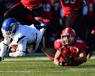 YOUNGSTOWN, OHIO - NOVEMBER 15, 2014: Travis Reyes #1 of Indiana State flies through the air after being tripped up by Donald D'Alesio #8 of YSU during the 1st half of Saturday afternoons game at Stambaugh Stadium. (Photo by David Dermer/Youngstown Vindicator)