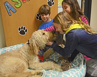 Katie Rickman | the Vindicator.Alena Len, 8, leans in for a kiss from Asher as Alex Rotuna (left) and Briley Chance wait their turn on Wednesday, Nov. 13 at Jackson Milton Elementary School.