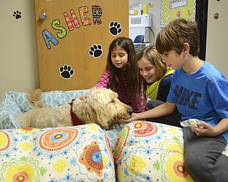 Katie Rickman | the Vindicator.Alex Rotuna, 8, feeds Asher, the therapy dog, string cheese as Briley Chance, 8 (left) and Alena Len, 8, wait their turn on Wednesday, Nov. 13 at Jackson Milton Elementary School.
