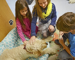 Katie Rickman | The Vindicator.Ashley, a therapy dog at Jackson Milton Elementary school patiently waits for a piece of string cheese from students (l-r) Briley Chance, 8, Alena Len, 8, and Alex Rotuna on Wednesday, Nov. 12, 2013.