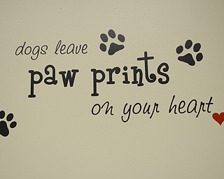 Katie Rickman | The Vindicator.Sayings about dogs are on the walls of the guidance office at Jackson Milton Elementary School where Asher the therapy dog visits several days a week.