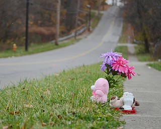 Katie Rickman | The  Vindicator.A makeshift memorial near site where  East High School freshman Faith McCullough-Wooster died the day before Thursday, Nov. 13, 2014.