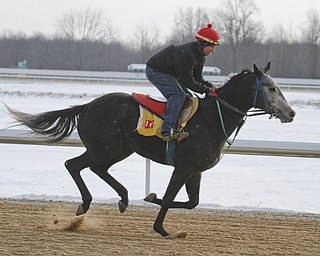        ROBERT K. YOSAY  | THE VINDICATOR..Hollywood Gaming /Mahoning Valley Race Course is in the final hours of preparation for Mondays first race with a post time of 12:45 on Monday ..-30-