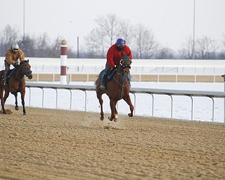       ROBERT K. YOSAY  | THE VINDICATOR..Hollywood Gaming /Mahoning Valley Race Course is in the final hours of preparation for Mondays first race with a post time of 12:45 on Monday ..-30-