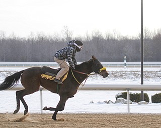        ROBERT K. YOSAY  | THE VINDICATOR..Hollywood Gaming /Mahoning Valley Race Course is in the final hours of preparation for Mondays first race with a post time of 12:45 on Monday ..-30-
