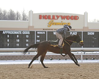        ROBERT K. YOSAY  | THE VINDICATOR..Hollywood Gaming /Mahoning Valley Race Course is in the final hours of preparation for Mondays first race with a post time of 12:45 on Monday ..-30-