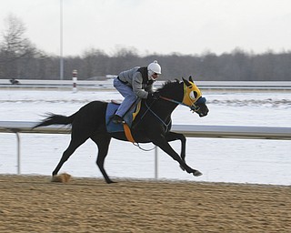        ROBERT K. YOSAY  | THE VINDICATOR..Hollywood Gaming /Mahoning Valley Race Course is in the final hours of preparation for Mondays first race with a post time of 12:45 on Monday ..-30-