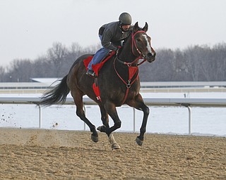        ROBERT K. YOSAY  | THE VINDICATOR..Hollywood Gaming /Mahoning Valley Race Course is in the final hours of preparation for Mondays first race with a post time of 12:45 on Monday ..-30-