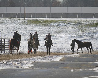        ROBERT K. YOSAY  | THE VINDICATOR..a bustle of activity as horses are worked every day on an off the track..Hollywood Gaming /Mahoning Valley Race Course is in the final hours of preparation for Mondays first race with a post time of 12:45 on Monday ..-30-
