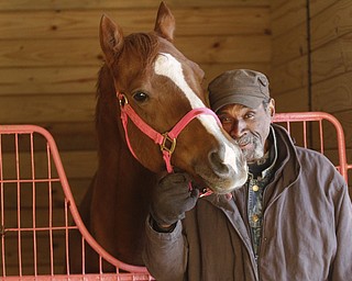        ROBERT K. YOSAY  | THE VINDICATOR..Loves horses and racing as Phillip Bridges "aka Cowboy" gives a reassuring pat to 'Casper Cat'  who did well in his racing in Michigan and looking forward to Mondays start- R L Feisman Racing Stables ..Hollywood Gaming /Mahoning Valley Race Course is in the final hours of preparation for Mondays first race with a post time of 12:45 on Monday ..-30-
