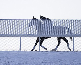        ROBERT K. YOSAY  | THE VINDICATOR..a jockey posts his horse as he warms him up before a workout ..Hollywood Gaming /Mahoning Valley Race Course is in the final hours of preparation for Mondays first race with a post time of 12:45 on Monday ..-30-