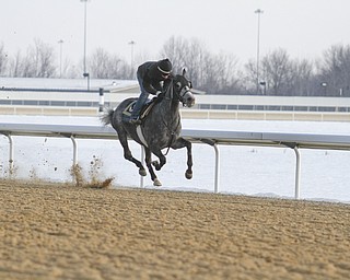        ROBERT K. YOSAY  | THE VINDICATOR..Hollywood Gaming /Mahoning Valley Race Course is in the final hours of preparation for Mondays first race with a post time of 12:45 on Monday ..-30-