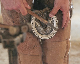        ROBERT K. YOSAY  | THE VINDICATOR..Putting on a new set of race horse shoes...  Jim Marino of Madison Ohio pounds a nail to hold the shoe on...Hollywood Gaming /Mahoning Valley Race Course is in the final hours of preparation for Mondays first race with a post time of 12:45 on Monday ..-30-