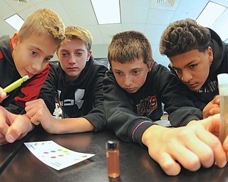 Jeff Lange | The Vindicator  Noah Patti (far left), Carson Ryan (left center), Jared Lackzo (right center) and Brandon Serrano (far right) watch the water change in color during a PH test, Friday afternoon at Struthers Middle School.
