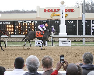        ROBERT K. YOSAY  | THE VINDICATOR..Windy but warm temperatures had the Hollywood Gaming Racino parking lot filled as people came out to watch the inagural run of thoroghbred racing in the Mahoning Valley...and the winner of the Inagural  BABY TIME  is followed by    "Take a Walk"