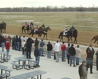        ROBERT K. YOSAY  | THE VINDICATOR..Windy but warm temperatures had the Hollywood Gaming Racino parking lot filled as people came out to watch the inagural run of thoroghbred racing in the Mahoning Valley...the horses and their ponies start the warmup before the race...