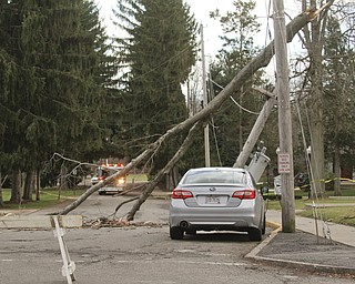        ROBERT K. YOSAY  | THE VINDICATOR..Strong winds and  a broken tree branch fell on a wire that snapped a telephone pole and then landed on the hood knocking out power to  an area around the Poland Middle School....