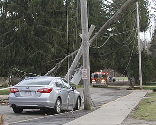        ROBERT K. YOSAY  | THE VINDICATOR..Strong winds and  a broken tree branch fell on a wire that snapped a telephone pole and then landed on the hood knocking out power to  an area around the Poland Middle School....