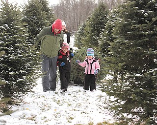 The Taranto family of Canfield — Stephanie, Tom, Alex, 6, and Audrey, 3 — all went to get the perfect tree at the Stepuk Tree Farm in Canfield on Black Friday. They decided to go with a Canaan fir this year.