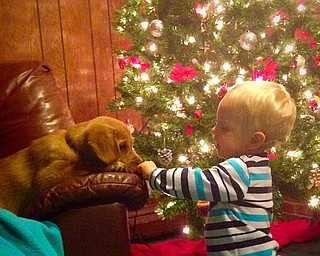  Logan Cheney of Hubbard meeting his new friend at Christmas. Sent by his mom, Amanda Liston.