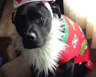 Eddie playing Santa, sent by Loretta Liguore.