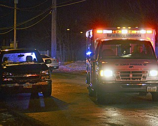 Katie Rickman | The Vindicator.An ambulance drives around the truck that hit a pedestrian on the corner of Logan Avenue and Thornton Avenue on Friday, Nov. 28, 2014. Officials have no released information on the accident.