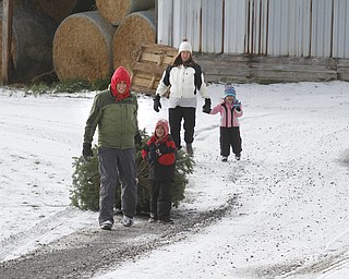        ROBERT K. YOSAY  | THE VINDICATOR..The Canfield family of Stephanie Tom Alex 6 and Audrey 3.5....  as they get the perfect tree..Its the day after turkey day.. time to think of christmas as families head to Stepuk Tree Farm  on Washingtonville Rd off of Calla..-30-