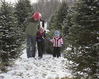        ROBERT K. YOSAY  | THE VINDICATOR..The Canfield family of Stephanie Tom Alex 6 and Audrey 3.5....  as they get the perfect tree..Its the day after turkey day.. time to think of christmas as families head to Stepuk Tree Farm  on Washingtonville Rd off of Calla..-30-