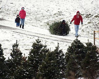       ROBERT K. YOSAY  | THE VINDICATOR..Long haul home as Jared Rupert and family  Marie - Gavin 5 and Logan 2 haul their tree down the path to leave...Its the day after turkey day.. time to think of christmas as families head to Stepuk Tree Farm  on Washingtonville Rd off of Calla..-30-