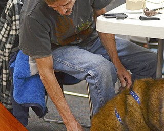 Katie Rickman | The Vindicator.Darrell Hassler of Austintown attempts to keep Mr. Fluffy out of his wood carving tool box at the Austintown Senior Center on Thursday, Dec. 4, 2014.Mr. Fluffy is an 12-week-old Leonberger dog that spends his days visiting seniors at the center.