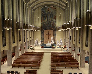 Katie Rickman | The Vindicator.Christmas trees shine bright on the stage at St. Columba Cathedral on Sunday Dec. 21, 2014.  More than 20 volunteers gathered throughout the day to decorate the church for the coming holiday.