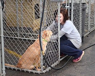 Katie Rickman | The Vindicator.Jennifer Gligor of Poland is a care taker at the Animal Charities in Youngstown, she kneels down next to Sheba and puts her on a leash after letting her play outside on Tuesday, Dec. 23, 2014. The facility is in need of donations of many items including wet dog food, blankets, treats, paper towels and much more.