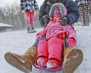 William D. Lewis the Vindicator  Margaret McGrogan and her daughter Abigal McGrogan slide down a hill in Mill Creek Park Wed 1-7-15. They are from Virginia Beach and this was their first time sledding. They were visiting  Margaret's brother Patrick McGrogan of Girard.