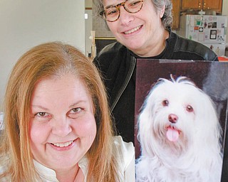 Joni Vernars, seated, and Lisa Nassief show a photo of Sasha, Vernar’s former
pet and therapy dog. William D. Lewis |The Vindicator
