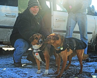 Chuck Persinger of Yougstown Dogs Surviving the Streets plays with Dixie Lee, left, and Indy Marie, right, while their owners Rick and Dawn Wheatcroft of Friends of Fido pick up five bales of straw for various animals in Girard on Jan. 10. "This is awesome," Persinger said. "It's going to keep them alive."