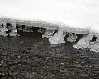        ROBERT K. YOSAY  | THE VINDICATOR..The stream near the Silver Bridge look like  duck feet as the  warmth of the water  melts the snow and make formations..With tempertatures hovering around zero Mill Creek Metroparks has started its annual ice show by nature as ice forms on creeks to lakes to waterfalls