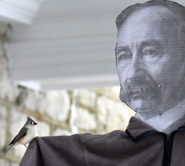 William D. Lewis the Vindicator A Tufted Titmouse sits on a feeder with a cutout of park founder Volney Rogers. Bob Davis, a park employee said this helps birds get used to taking food from people. The park recently hosted a program where people could feed birds by hand. Upcoming bird programs in the park include Coffee with the birds on Jan 17 and 31 from 8-9:30 am.