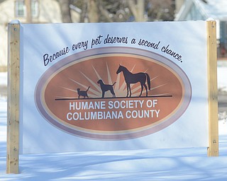 Katie Rickman | The Vindicator.The Humane Society of Columbiana County is in financial distress but is making an effort to climb out of it. They will have a Plunge fundraiser this coming weekend.