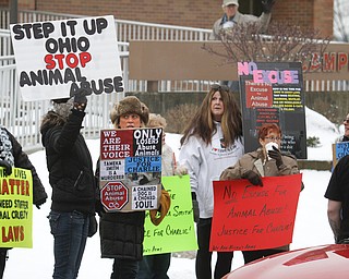        ROBERT K. YOSAY  | THE VINDICATOR.. Jason Cooke organized a rally for the dog who was left to starve to death in Campbell, to take place at the Campbell Municipal Courthouse. Cooke did not know the dogs name or if it was a boy or girl, so he called it Charlie. The rally is called ÒJustice For CharlieÓ and it is meant to bring attention not only to this case, but to all cases of animal abuse and neglect. .-30-