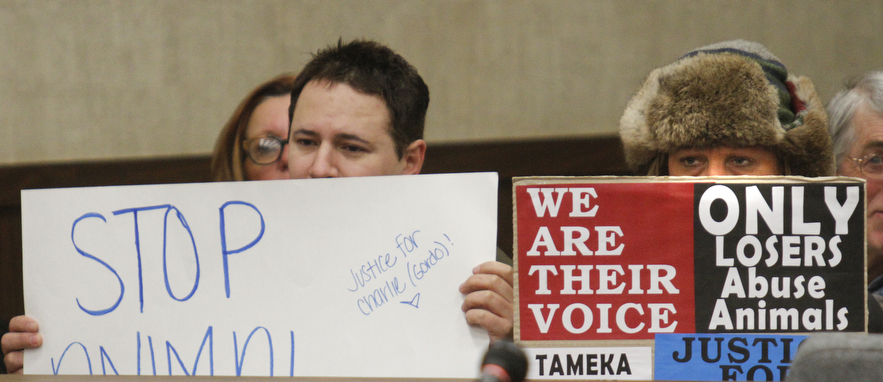        ROBERT K. YOSAY  | THE VINDICATOR.. Jason Cooke organized a rally for the dog who was left to starve to death in Campbell, to take place at the Campbell Municipal Courthouse. Cooke did not know the dogs name or if it was a boy or girl, so he called it Charlie. The rally is called ÒJustice For CharlieÓ and it is meant to bring attention not only to this case, but to all cases of animal abuse and neglect. .-30-