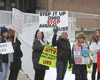        ROBERT K. YOSAY  | THE VINDICATOR.. Jason Cooke organized a rally for the dog who was left to starve to death in Campbell, to take place at the Campbell Municipal Courthouse. Cooke did not know the dogs name or if it was a boy or girl, so he called it Charlie. The rally is called ÒJustice For CharlieÓ and it is meant to bring attention not only to this case, but to all cases of animal abuse and neglect. .-30-