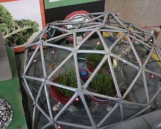        ROBERT K. YOSAY  | THE VINDICATOR..kale growing  geodesic with rotating growing pods..  2172 of Youngstown..This version of the cityÕs future, as envisioned by a group of about 25 sixth-, seventh-, and eighth-grade Holy Family School students, won top honors at the state Future City Competition earlier this month.
