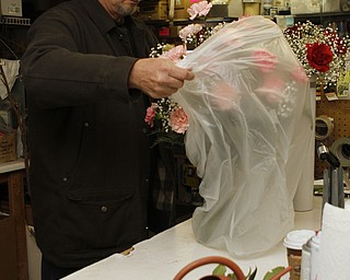 Joe Mozzy, co-owner of Sweet Arrangements, covers a bouguet of flowers to protect them from the cold before delivering them at Sweet Arrangements florists in Youngstown on Saturday morning.   Dustin Livesay  |  The Vindicator  1/31/15  Sweet Arrangements, Youngstown.